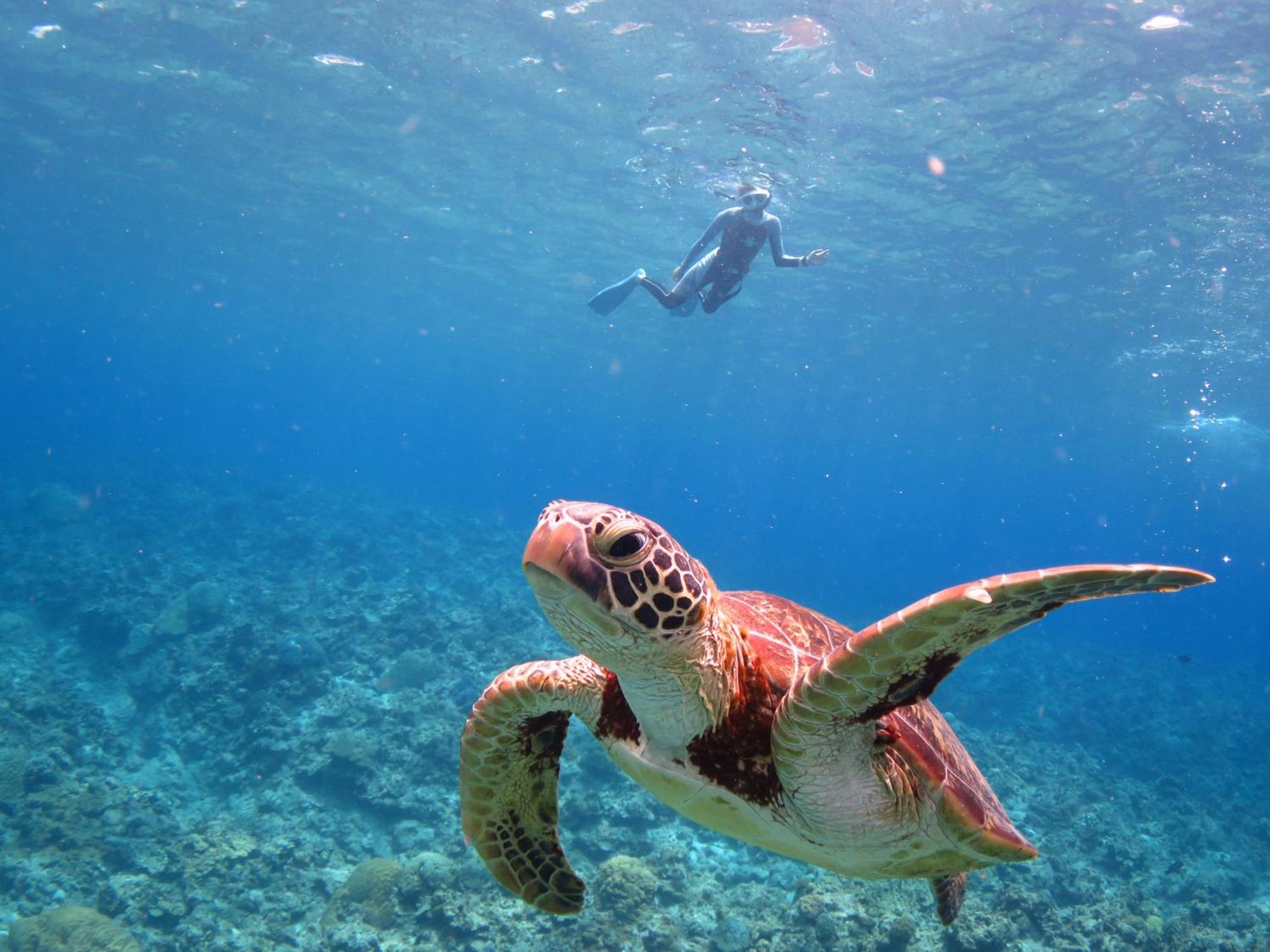 Ishigaki Seaside Hotel Екстериор снимка
